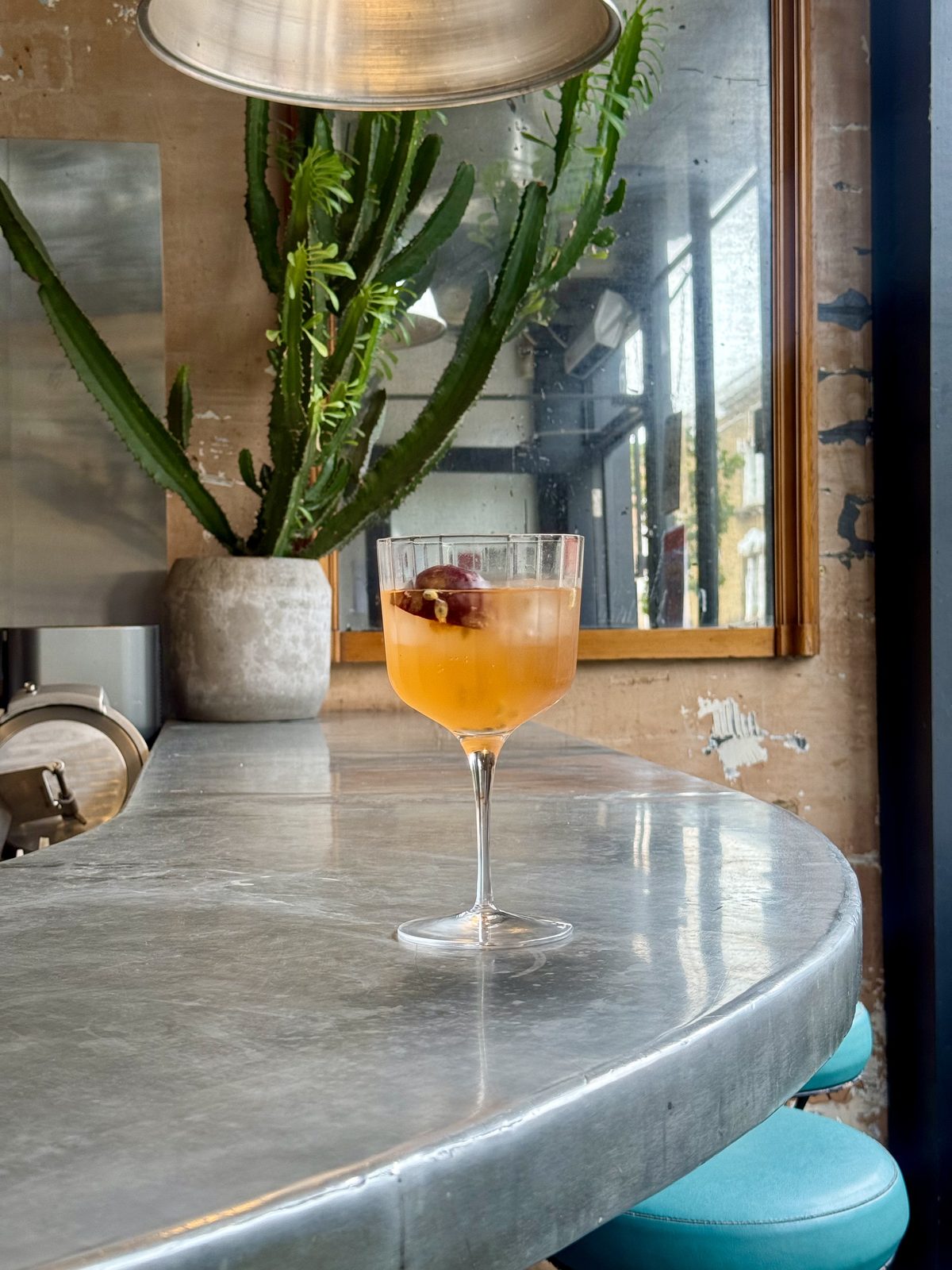Cocktail in a fluted glass on a zinc bar top beside a cactus and mirror